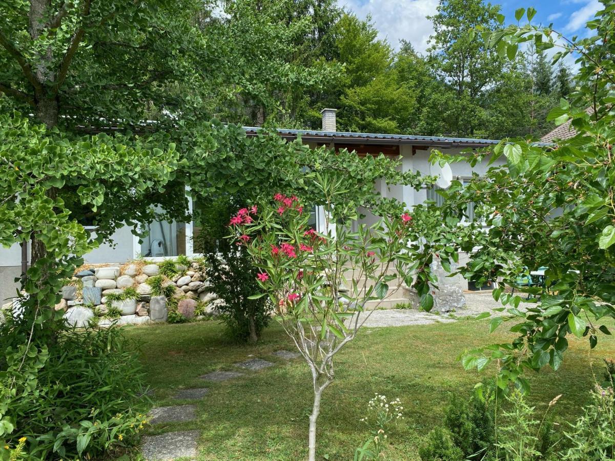 Grabner Holiday home *