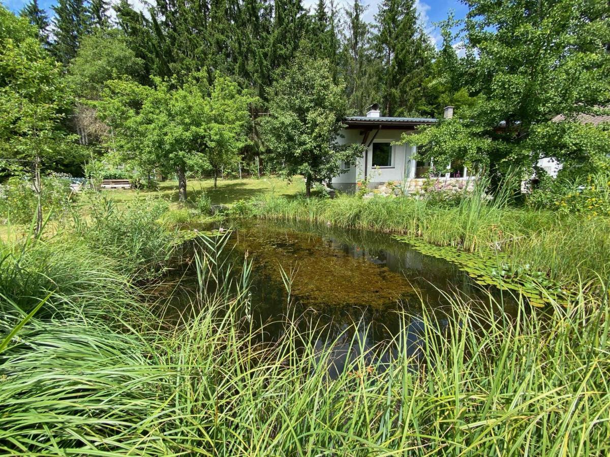 Grabner Ferienhaus Hermagor-Pressegger See